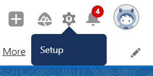 Salesforce setup