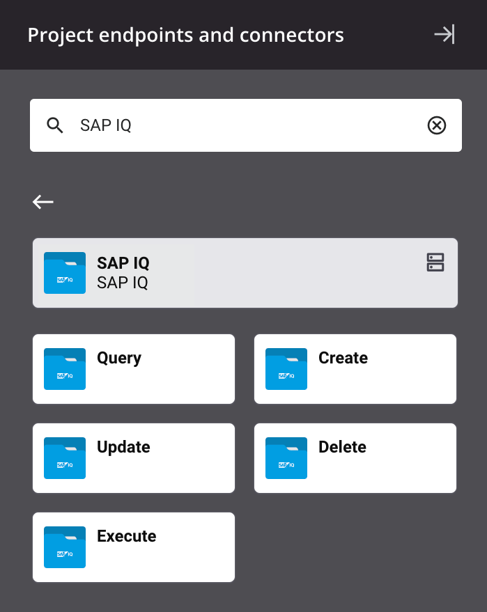 SAP IQ activity types