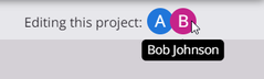 project toolbar avatar hover