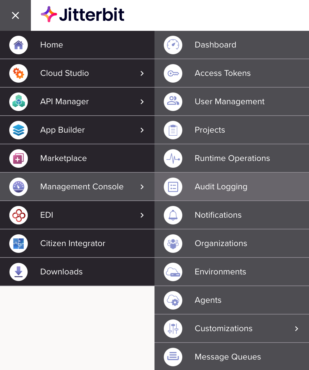 Audit Logging