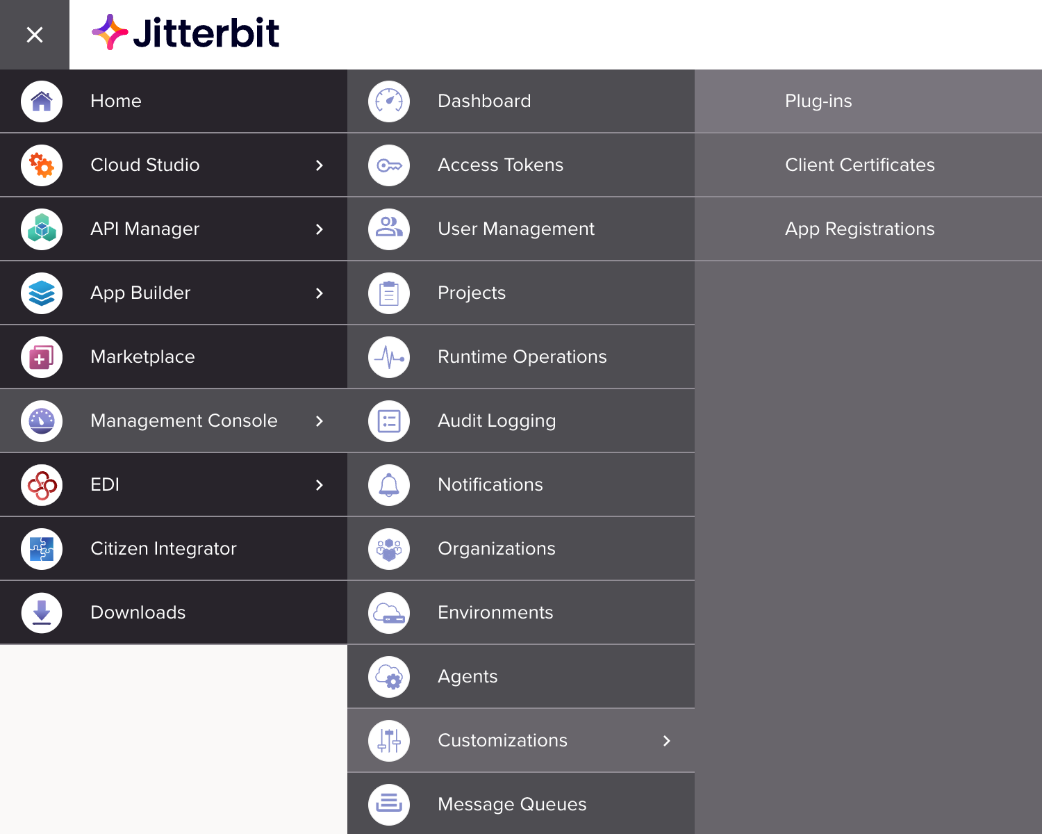 Management Console customizations plugins