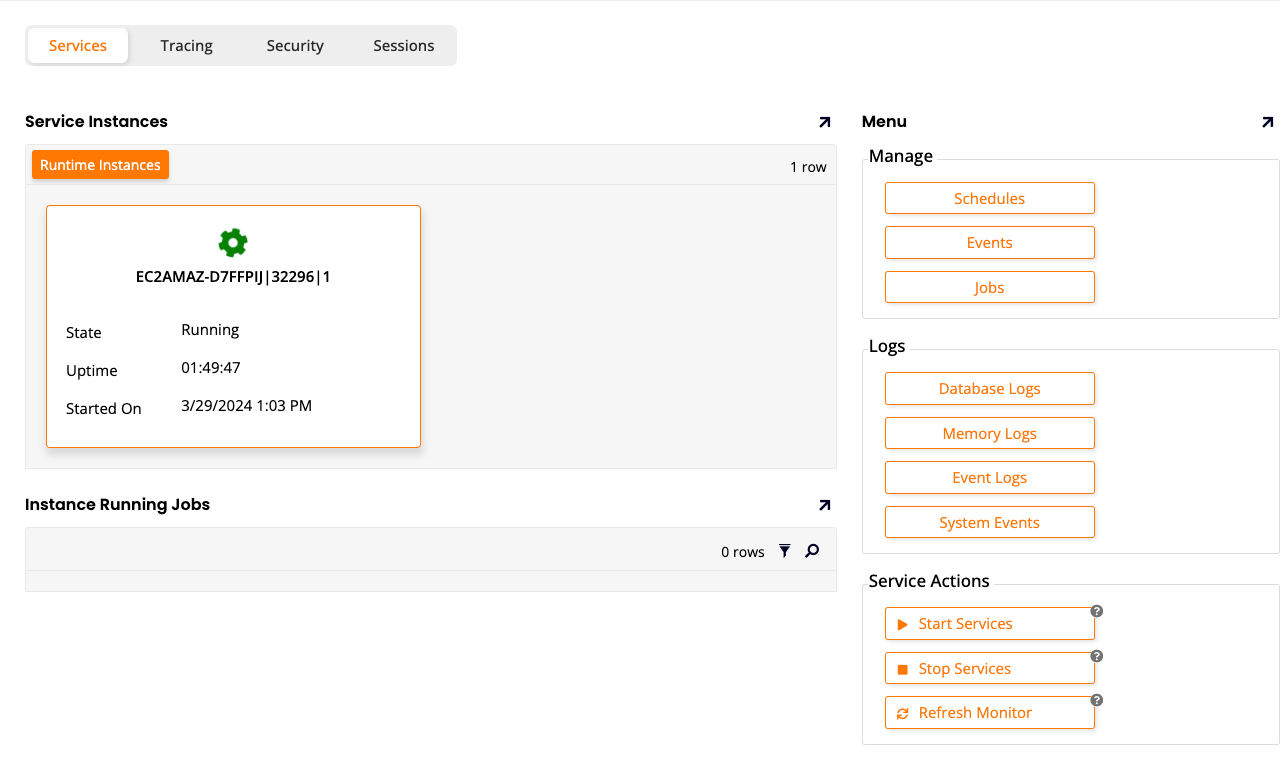 Runtime instances